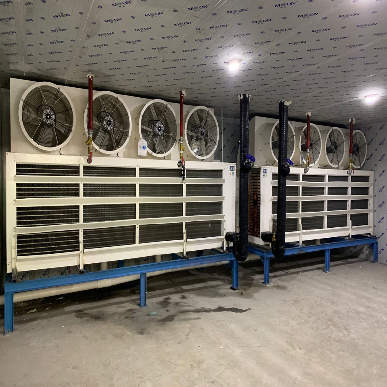Commercial /Industrial Quick Freezing Cold Storage: Ideal for Food Processing, Seafood & Meat Preservation