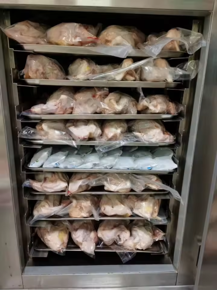 Small Food Quick-Freezing Cold Storage - Rapid Freezing for Meat/Seafood/Vegetables, Ideal for Small Restaurants & Food Processing Shops
