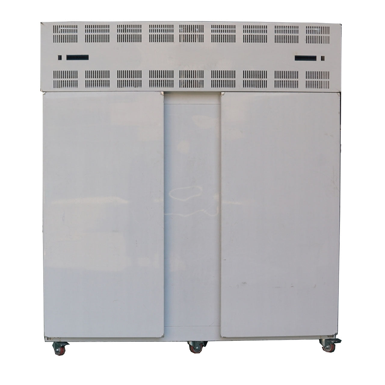Small Food Quick-Freezing Cold Storage - Rapid Freezing for Meat/Seafood/Vegetables, Ideal for Small Restaurants & Food Processing Shops
