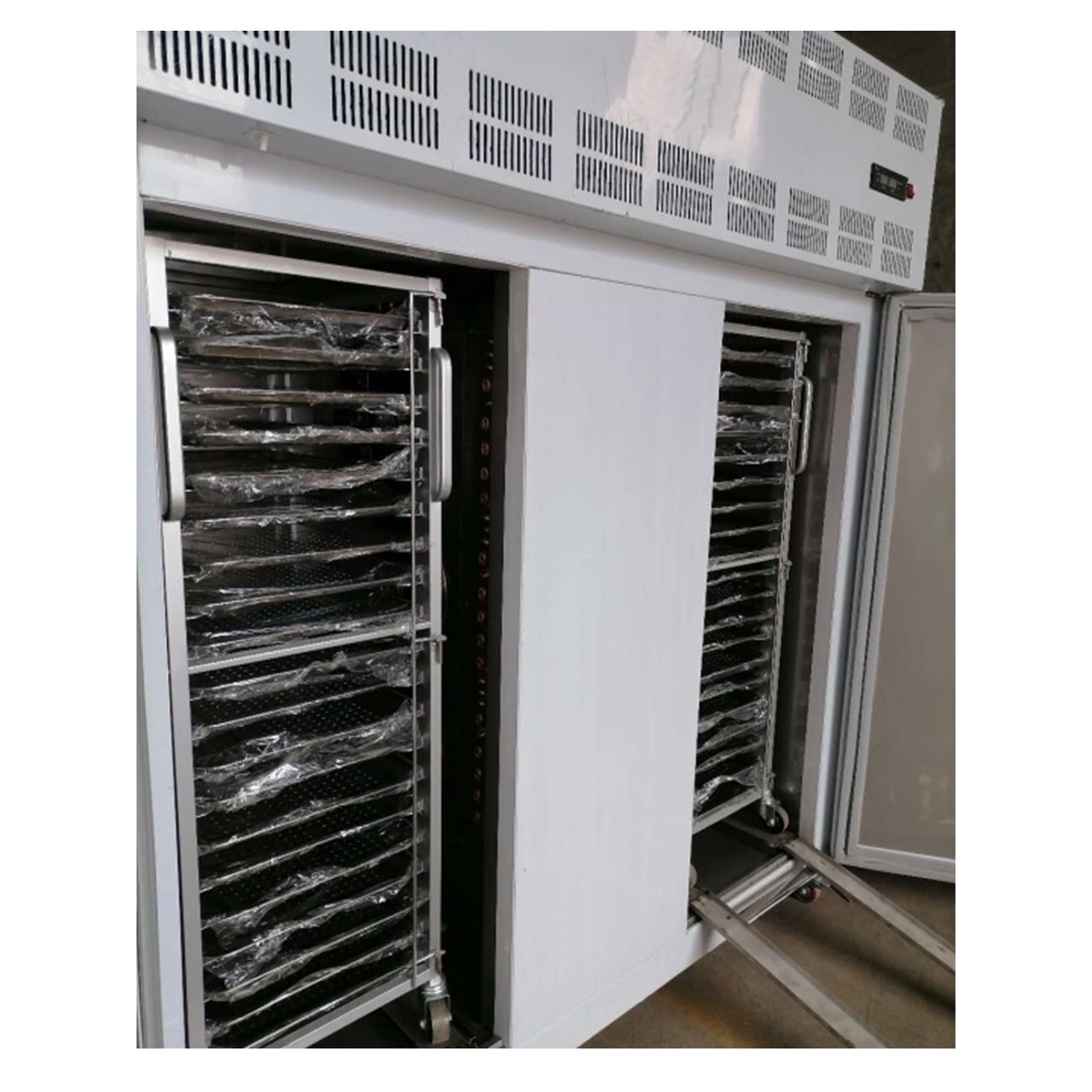 Commercial /Industrial Quick Freezing Cold Storage: Ideal for Food Processing, Seafood & Meat Preservation