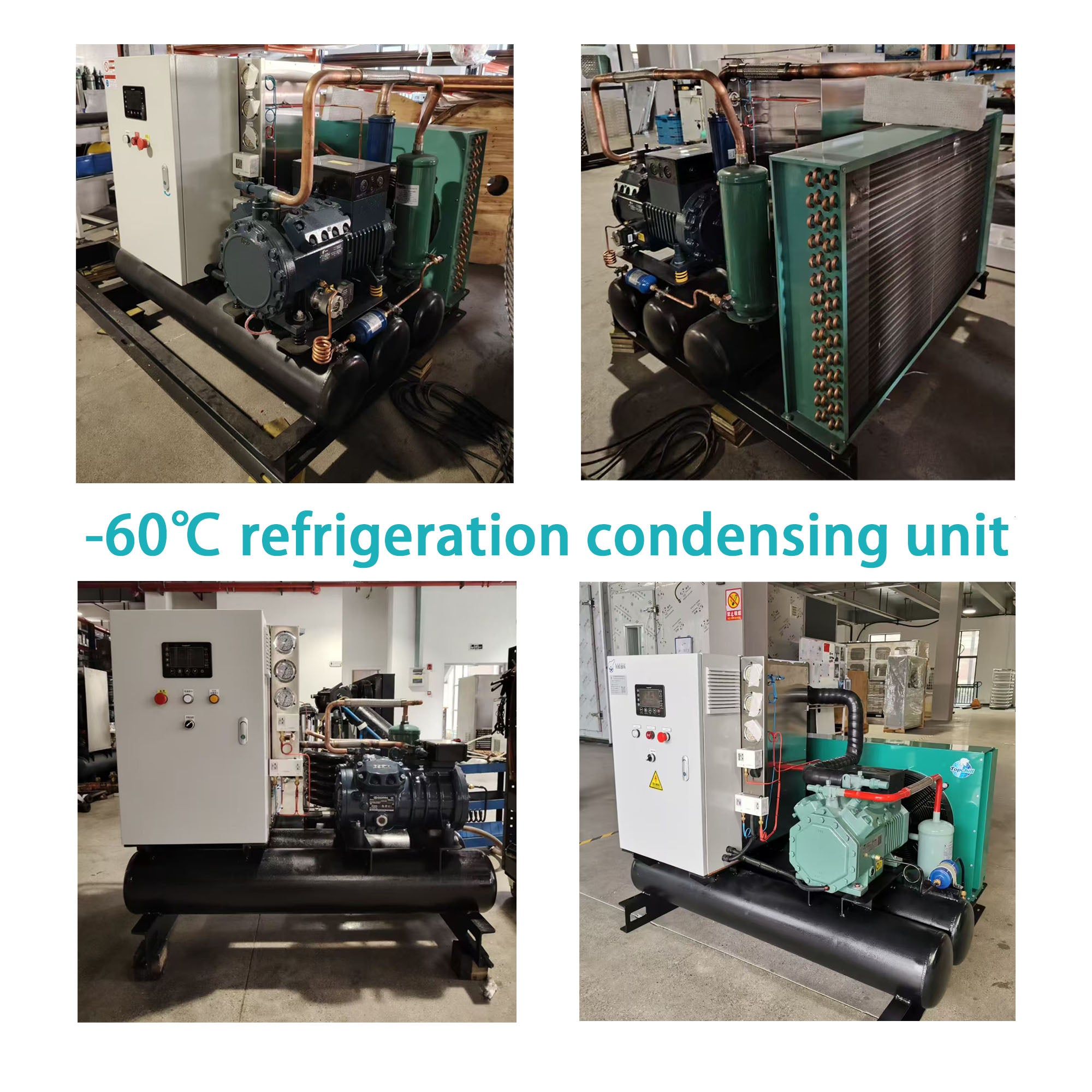 Ultra-Low Temperature Cryogenic Container (-40℃ to -60℃) for Biological Sample & Seafood Cold Chain Transport