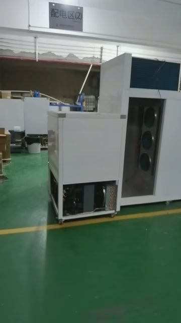 Small Food Quick-Freezing Cold Storage - Rapid Freezing for Meat/Seafood/Vegetables, Ideal for Small Restaurants & Food Processing Shops