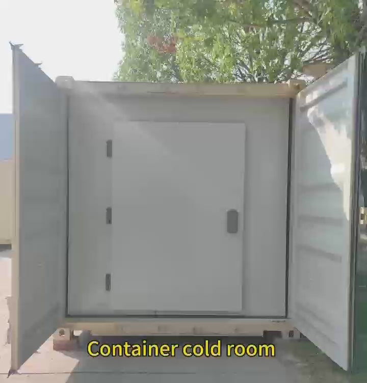 20/40ft Container Cold Room | Adjustable Temperature -20°C~10°C for Food Storage, Pharmaceutical Logistics & Industrial Cooling